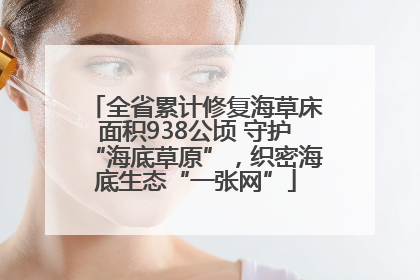 全省累计修复海草床面积938公顷 守护“海底草原”，织密海底生态“一张网”