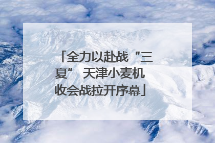 全力以赴战“三夏” 天津小麦机收会战拉开序幕