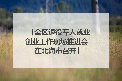 全区退役军人就业创业工作现场推进会在北海市召开
