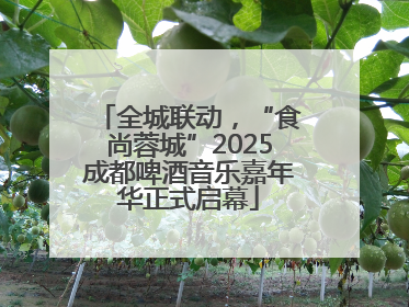全城联动，“食尚蓉城”2025成都啤酒音乐嘉年华正式启幕