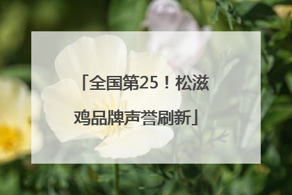 全国第25！松滋鸡品牌声誉刷新