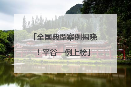 全国典型案例揭晓！平谷一例上榜