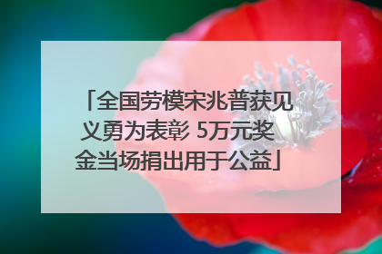 全国劳模宋兆普获见义勇为表彰 5万元奖金当场捐出用于公益