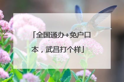 全国通办+免户口本，武昌打个样