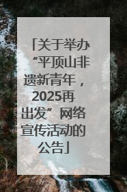 关于举办“平顶山非遗新青年，2025再出发”网络宣传活动的公告
