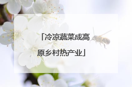 冷凉蔬菜成高原乡村热产业