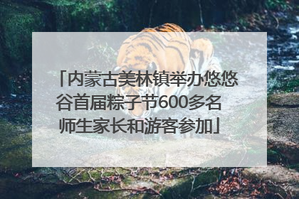 内蒙古美林镇举办悠悠谷首届粽子节600多名师生家长和游客参加
