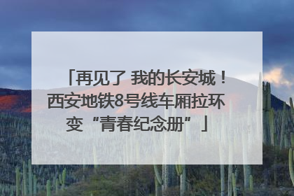 再见了 我的长安城！西安地铁8号线车厢拉环变“青春纪念册”