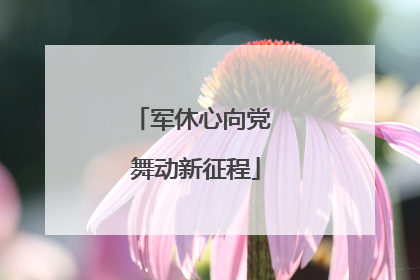 军休心向党 舞动新征程