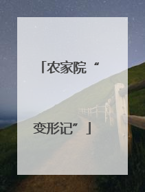 农家院“变形记”