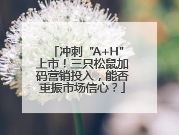 冲刺“A+H”上市！三只松鼠加码营销投入，能否重振市场信心？