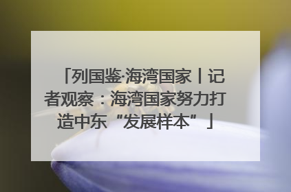 列国鉴·海湾国家丨记者观察：海湾国家努力打造中东“发展样本”
