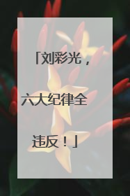 刘彩光，六大纪律全违反！