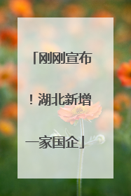 刚刚宣布！湖北新增一家国企