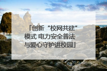 创新“校网共建”模式 电力安全普法与爱心守护进校园