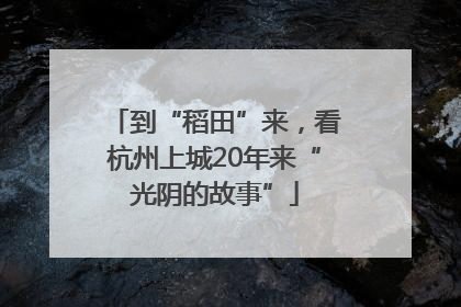 到“稻田”来，看杭州上城20年来“光阴的故事”