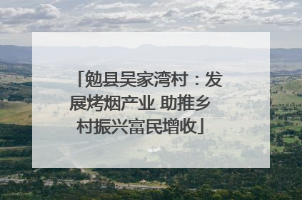 勉县吴家湾村：发展烤烟产业 助推乡村振兴富民增收