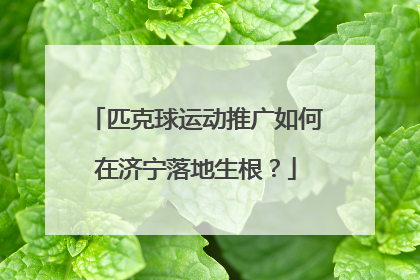 匹克球运动推广如何在济宁落地生根？