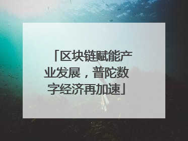 区块链赋能产业发展，普陀数字经济再加速