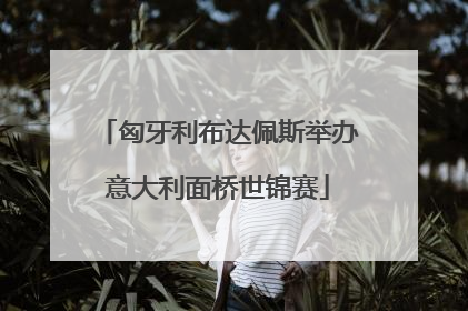 匈牙利布达佩斯举办意大利面桥世锦赛