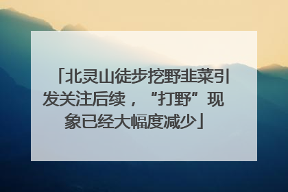 北灵山徒步挖野韭菜引发关注后续，“打野”现象已经大幅度减少