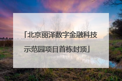 北京丽泽数字金融科技示范园项目首栋封顶
