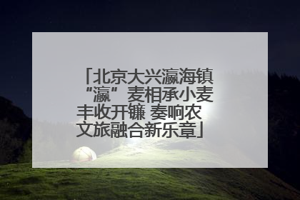 北京大兴瀛海镇“瀛”麦相承小麦丰收开镰 奏响农文旅融合新乐章