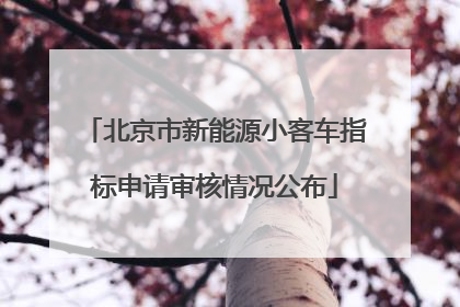 北京市新能源小客车指标申请审核情况公布