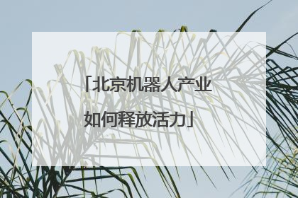 北京机器人产业如何释放活力
