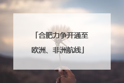 合肥力争开通至欧洲、非洲航线