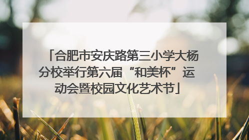 合肥市安庆路第三小学大杨分校举行第六届“和美杯”运动会暨校园文化艺术节