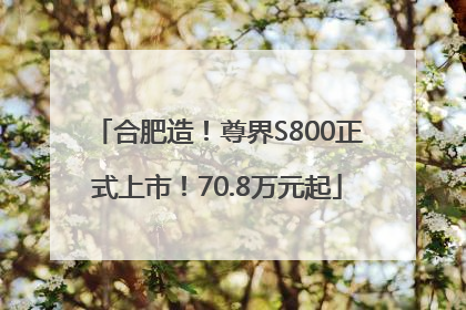 合肥造！尊界S800正式上市！70.8万元起