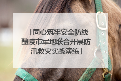 同心筑牢安全防线 醴陵市军地联合开展防汛救灾实战演练