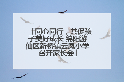 同心同行，共促孩子美好成长 绵阳游仙区新桥镇云凤小学召开家长会