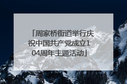 周家桥街道举行庆祝中国共产党成立104周年主题活动