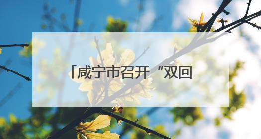 咸宁市召开“双回双创”工作推进会
