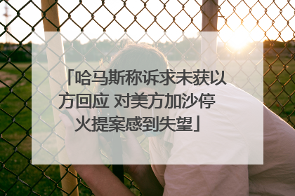 哈马斯称诉求未获以方回应 对美方加沙停火提案感到失望