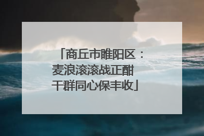 商丘市睢阳区：麦浪滚滚战正酣 干群同心保丰收