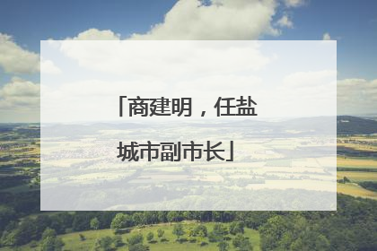 商建明，任盐城市副市长