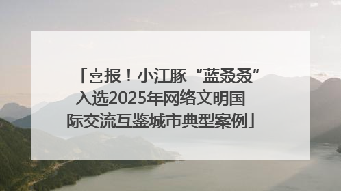 喜报！小江豚“蓝叒叒”入选2025年网络文明国际交流互鉴城市典型案例