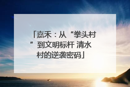 嘉禾：从“拳头村”到文明标杆 清水村的逆袭密码
