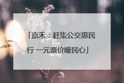嘉禾：赶集公交惠民行 一元票价暖民心