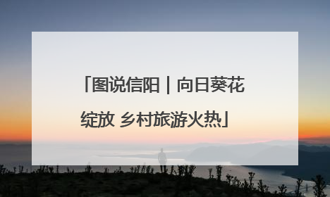 图说信阳｜向日葵花绽放 乡村旅游火热