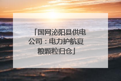 国网泌阳县供电公司：电力护航夏粮颗粒归仓