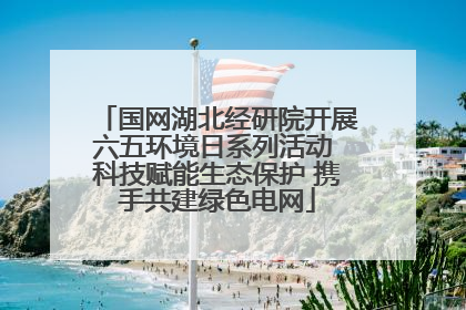 国网湖北经研院开展六五环境日系列活动 科技赋能生态保护 携手共建绿色电网
