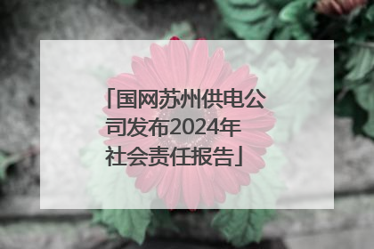 国网苏州供电公司发布2024年社会责任报告
