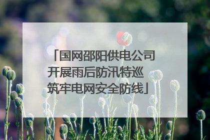 国网邵阳供电公司开展雨后防汛特巡 筑牢电网安全防线