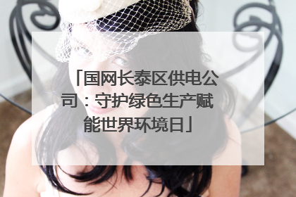 国网长泰区供电公司：守护绿色生产赋能世界环境日