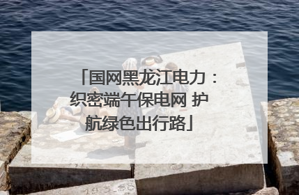 国网黑龙江电力：织密端午保电网 护航绿色出行路