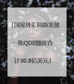国家外汇局新发放一批QDII额度合计30.8亿美元